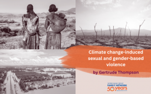 Climate change-induced sexual and gender-based violence