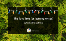 The Tuya Tree (or learning to see)