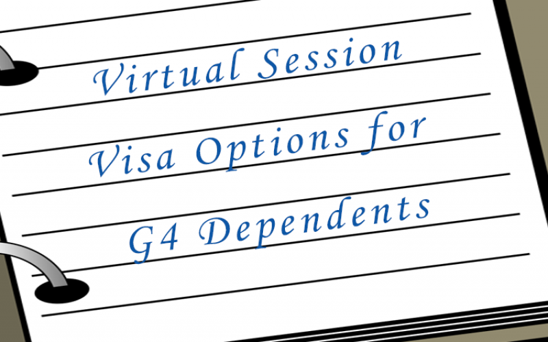 Virtual Visa Options